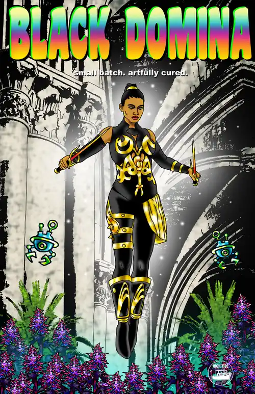 Black Domina. A woman wearing a fantasy-style black & gold suit levitates while wielding a short sword in each hand.